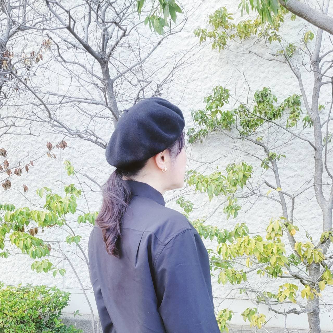 テノリエリ